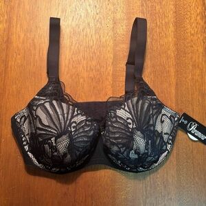 Paramour Black Lace Bra